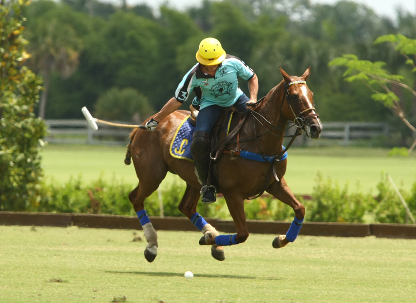 Piaget vs. Longfield - USPA Eastern Challenge Photos