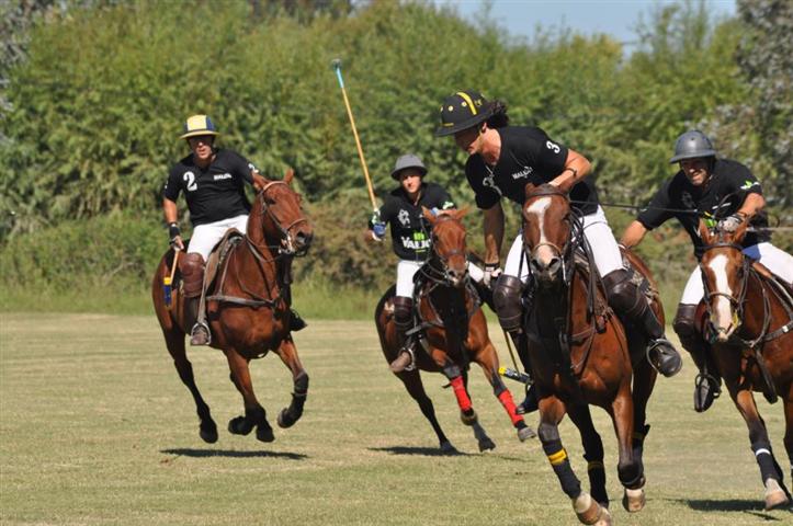 internal tournament