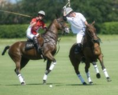 Fall Polo Season Opener at Palm City Polo Club